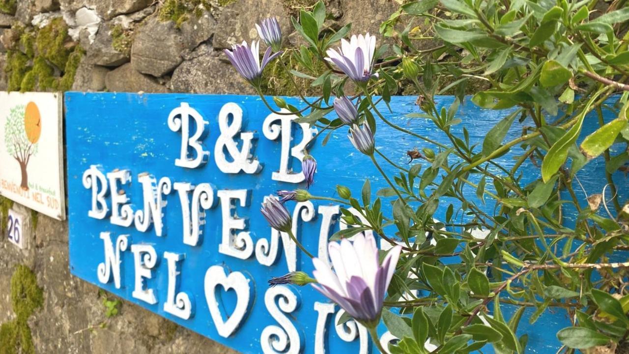 Benvenuti Nel Sud Bed & Breakfast Sessa Cilento Luaran gambar