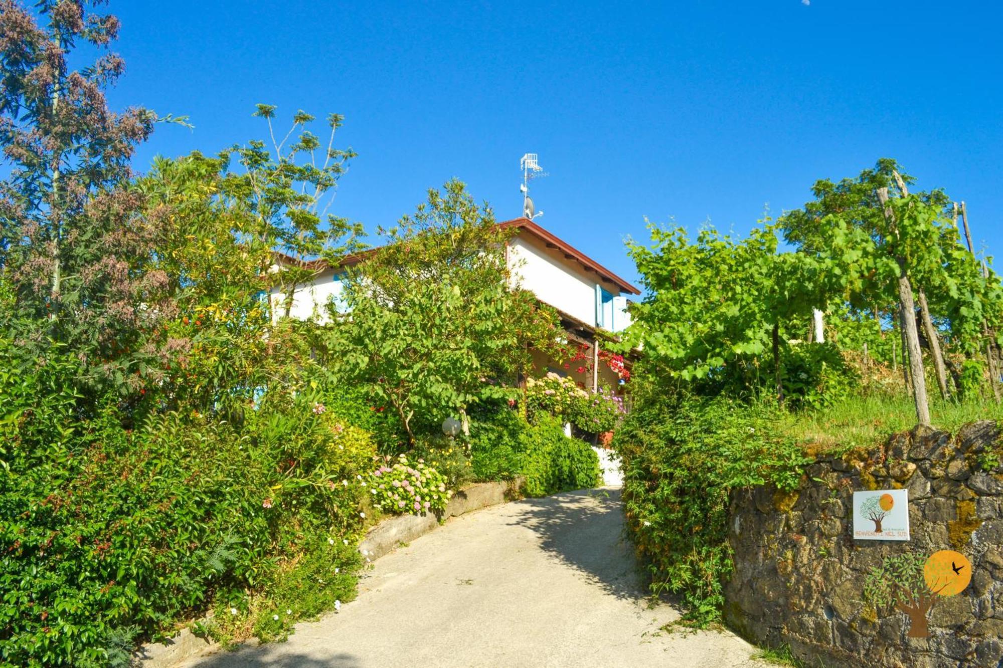 Benvenuti Nel Sud Bed & Breakfast Sessa Cilento Luaran gambar