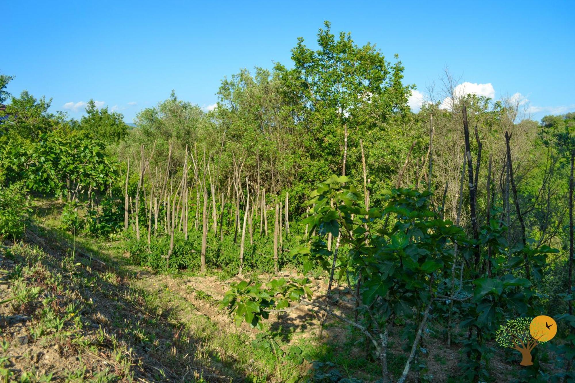 Benvenuti Nel Sud Bed & Breakfast Sessa Cilento Luaran gambar