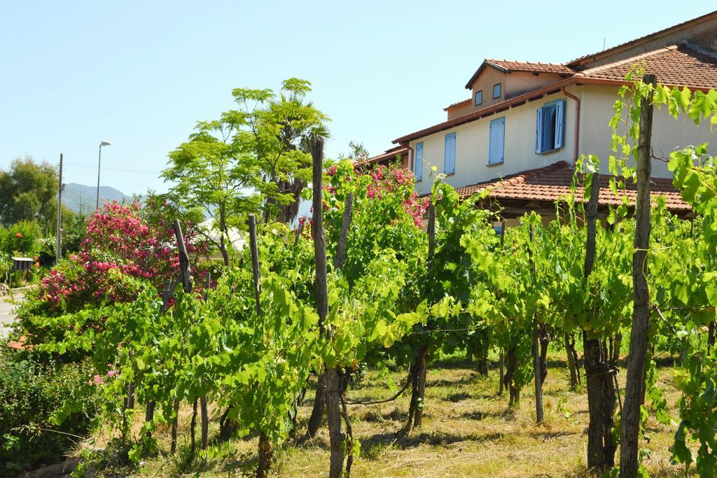 Benvenuti Nel Sud Bed & Breakfast Sessa Cilento Luaran gambar