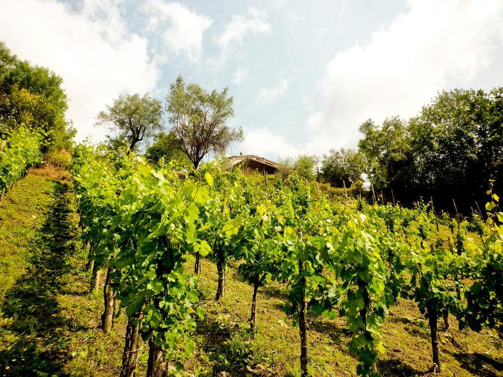 Benvenuti Nel Sud Bed & Breakfast Sessa Cilento Luaran gambar