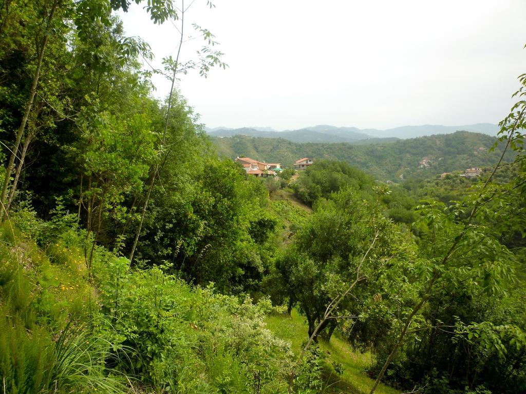 Benvenuti Nel Sud Bed & Breakfast Sessa Cilento Luaran gambar