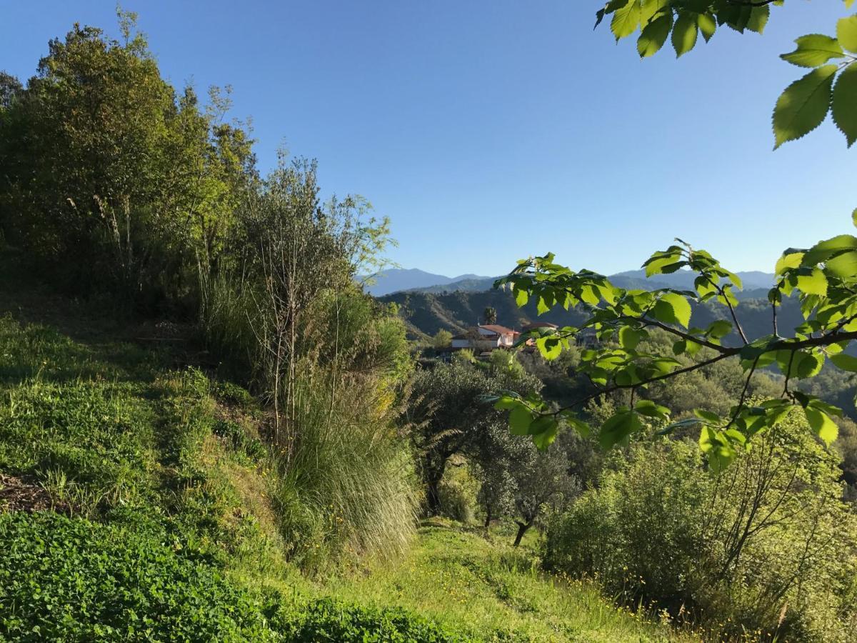 Benvenuti Nel Sud Bed & Breakfast Sessa Cilento Luaran gambar