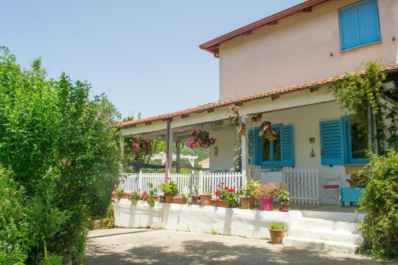 Benvenuti Nel Sud Bed & Breakfast Sessa Cilento Luaran gambar