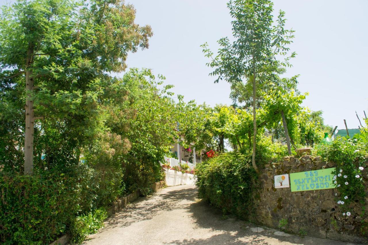Benvenuti Nel Sud Bed & Breakfast Sessa Cilento Luaran gambar